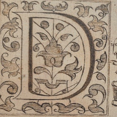 Simon Swynfen Jervis (ed.), The Alphabet Book of Amos Lewis: An Elizabethan Calligraphic Manuscript Revealed, Cambridge: John Adamson, 2024, fol. 8, detail.