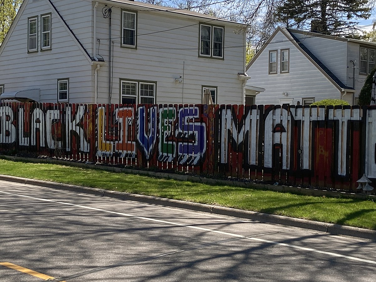 Black Lives Matter written on a fence;  © Myotus, https://commons.wikimedia.org/wiki/File:Black_Lives_Matter_Fence-closeup.jpg, CC BY-SA 4.0